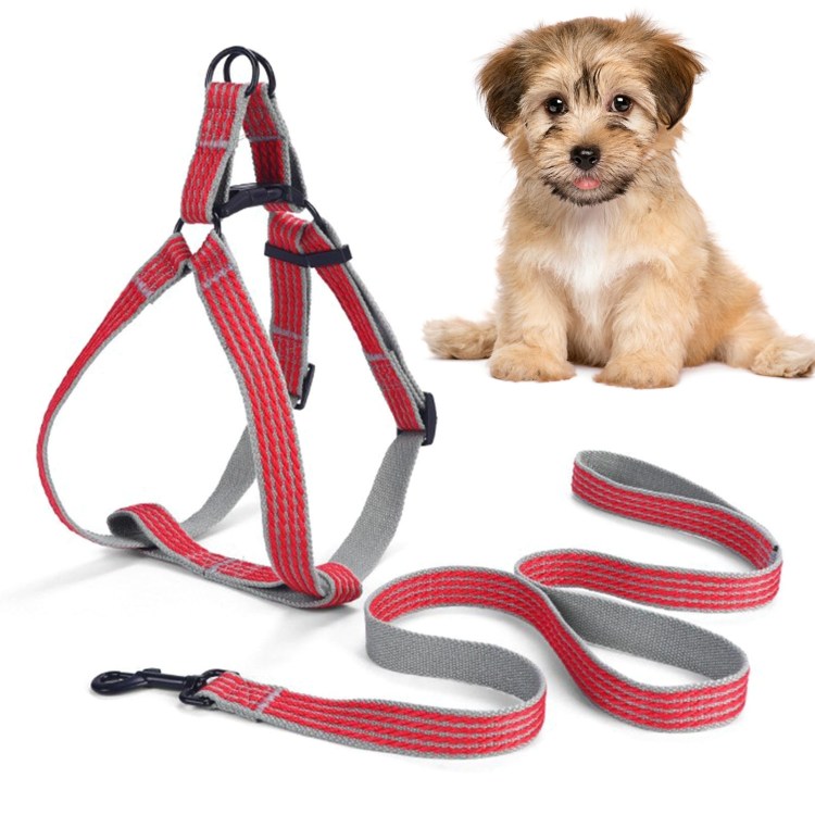 Шлейка для борзых