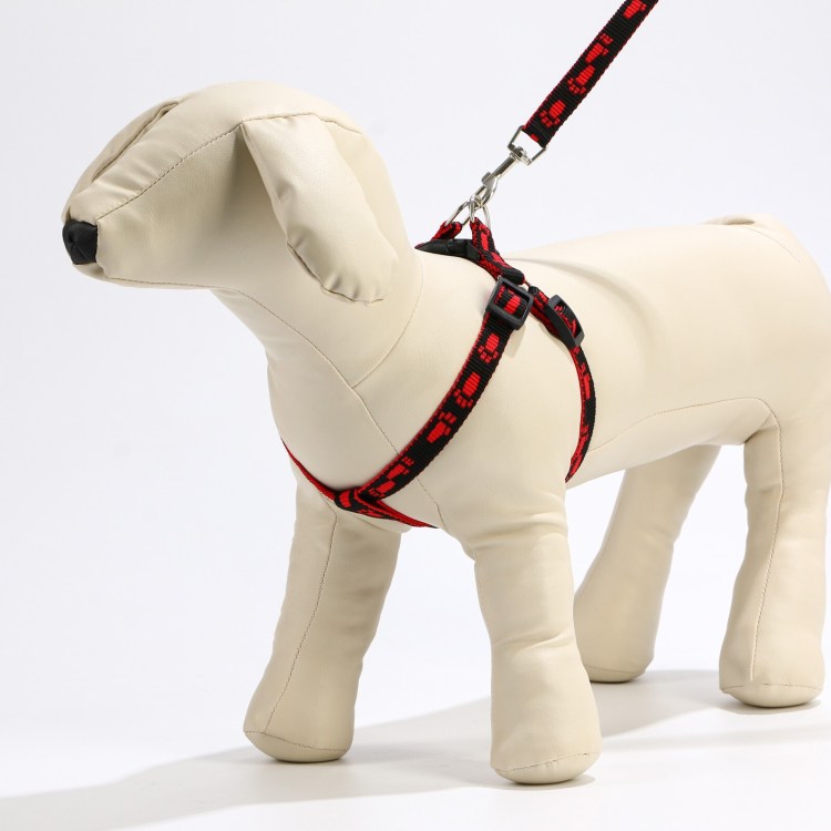 Шлейка регулируемая Camon двухцветная, для собак, зеленый/бежевый