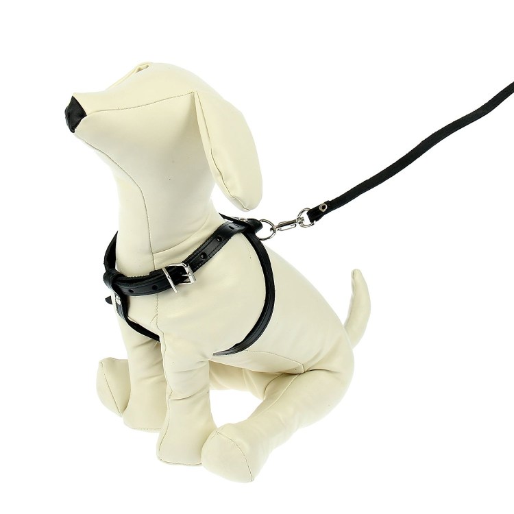 Шлейка Cricket p Medium синяя