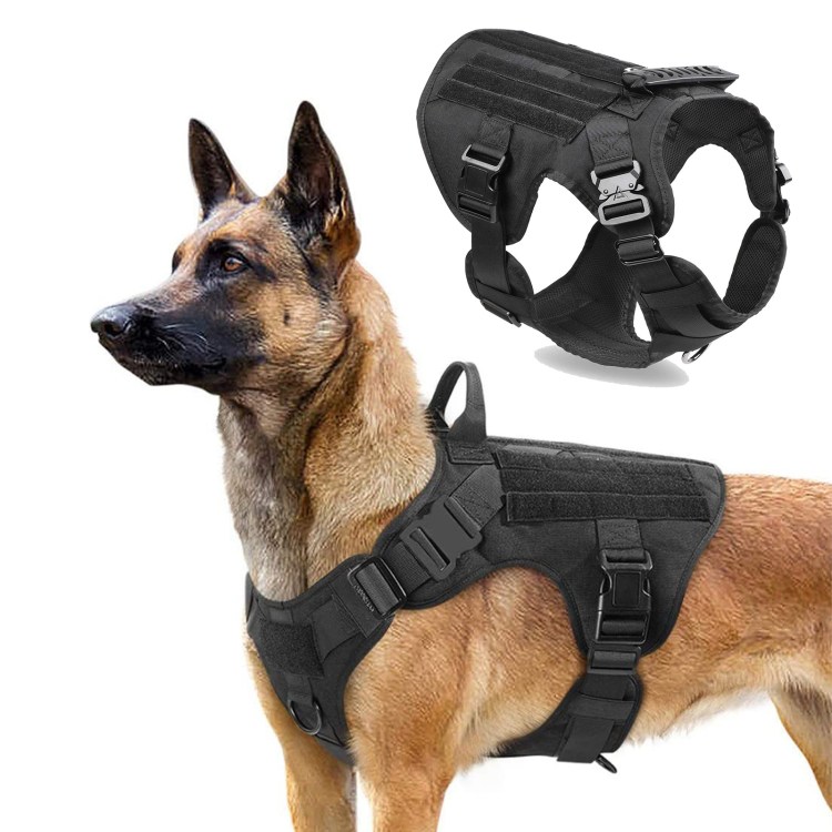 Шлея bull Nobby Classic