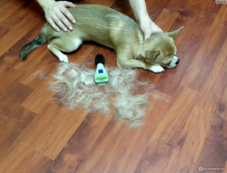 Фурминатор для французского бульдога