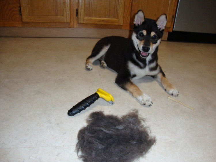 FURMINATOR Undercoat для собак