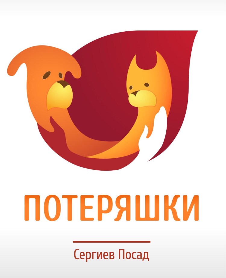 Сергиев Посад потеряшки кошки