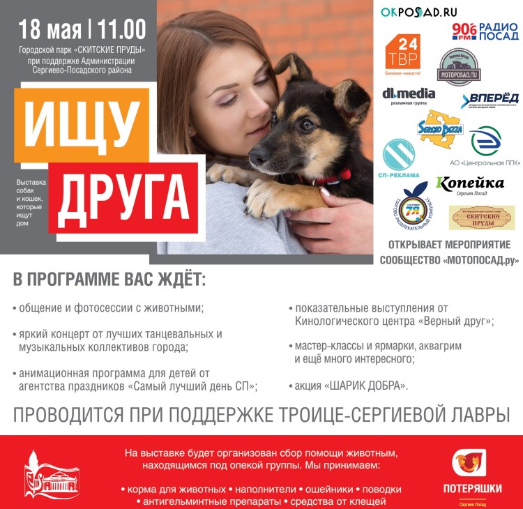 Потеряшки Сергиев Посад собаки