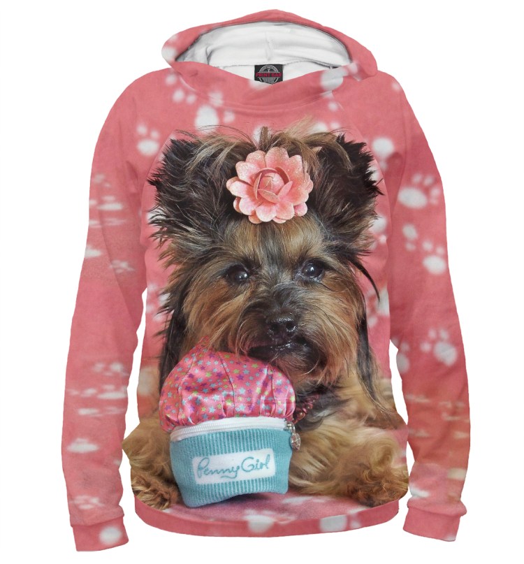 Одежда для йорков мальчиков