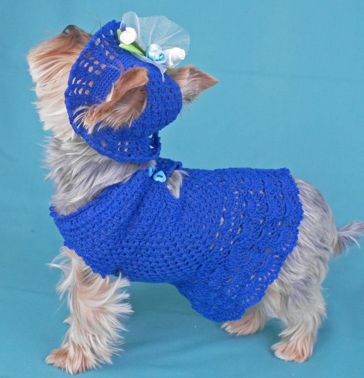 Свитер для той терьера