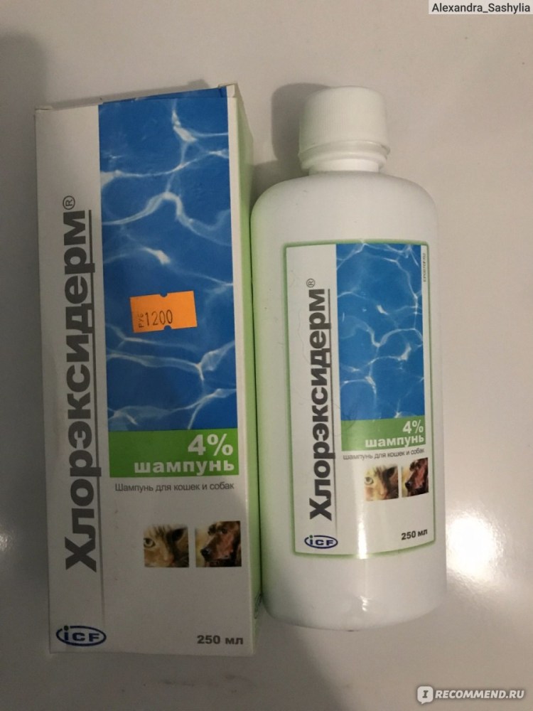 Глобалвет шампунь для собак с хлоргексидином