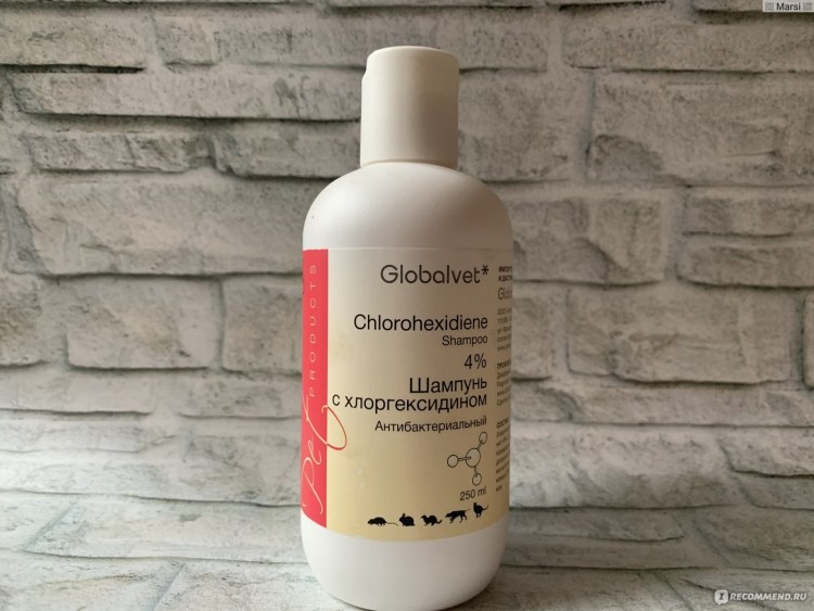 Шампунь с хлоргексидином 5 для собак