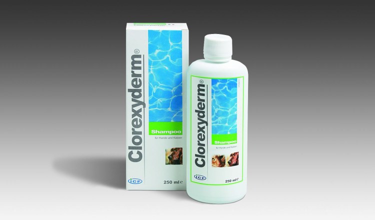 Шампунь с хлоргексидином 4%