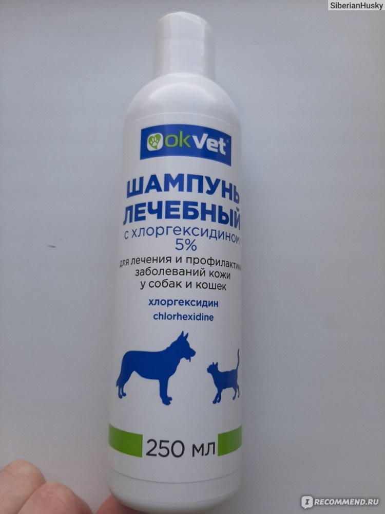 Globalvet( шампунь с молочной кислотой для собак и кошек)