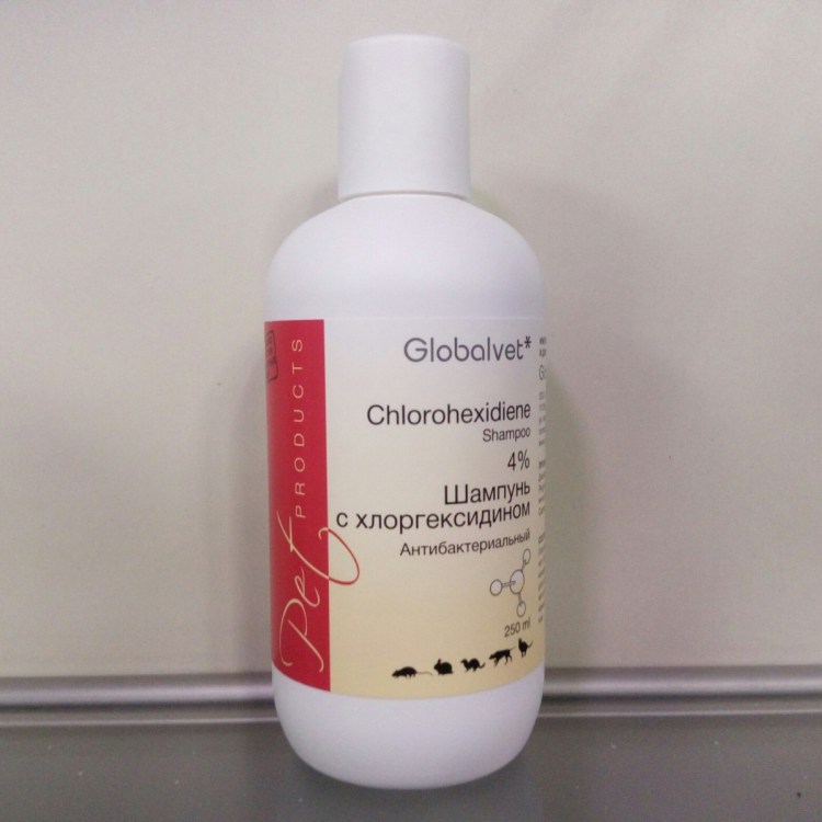 Шампунь противомикробный с хлоргексидином 4 для собак и кошек apicenna