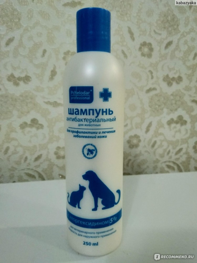 Globalvet шампунь противомикробный с хлоргексидином 4 % для собак и кошек