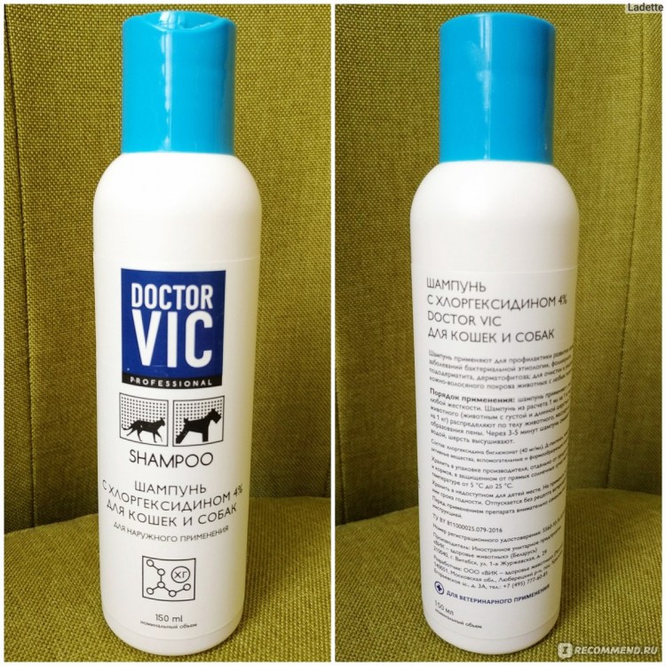 Шампунь доктор с хлоргексидином для кошек