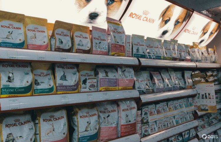 Крайслер Рестайлинг Вояджер 2002