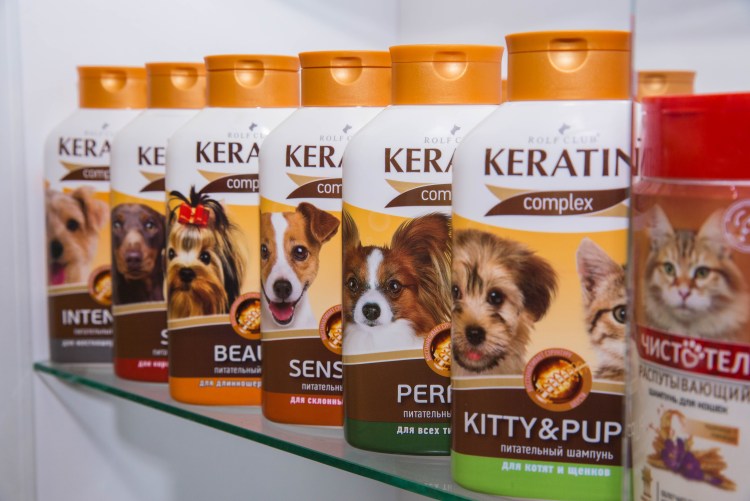 Кинотеатр в ките Оренбург