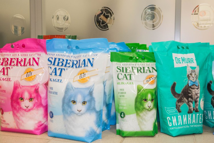 Лента Оренбург Рокоссовского 2