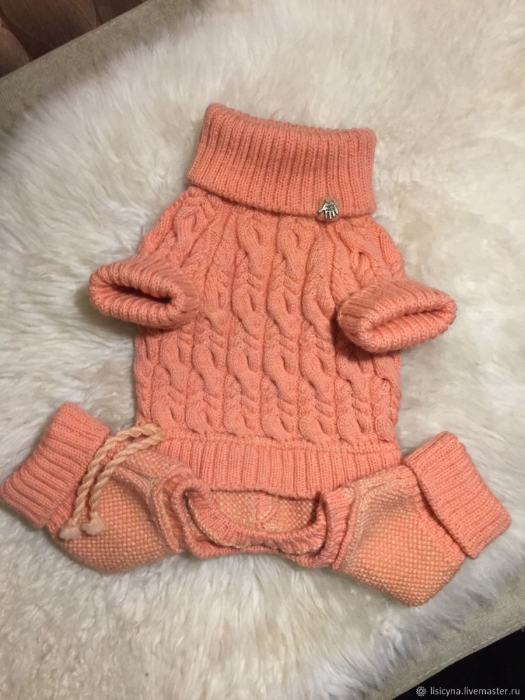 Вязаная одежда для собак
