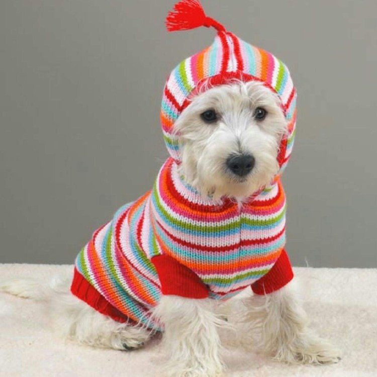 Вязаная одежда для собак йорков