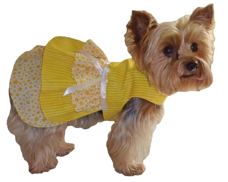 Попона Сойер зимняя