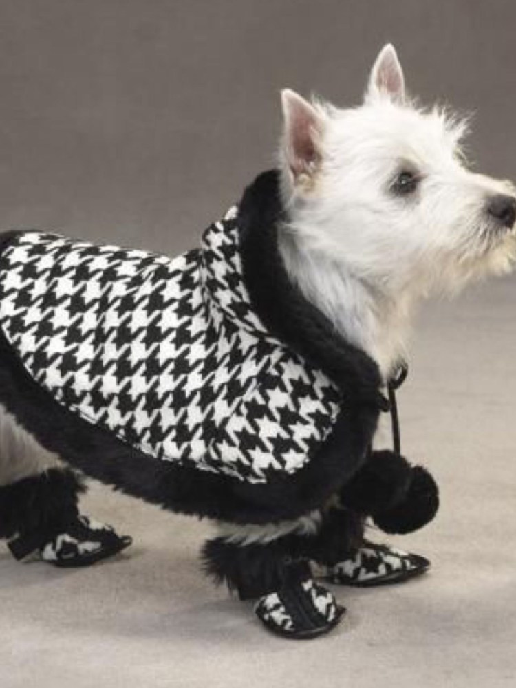 Шьём футболку собаке