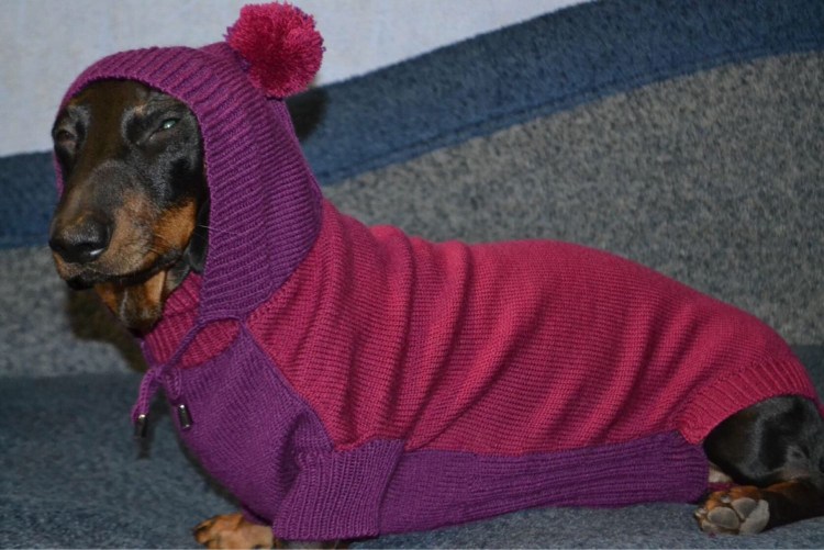 Куртка для собак "nice Dog" XL