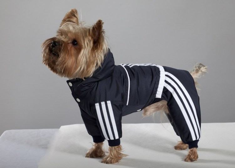 Кофта для собак из рукава