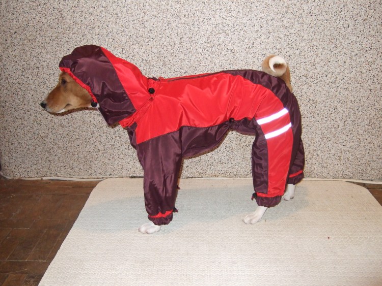 Одежда для больших собак