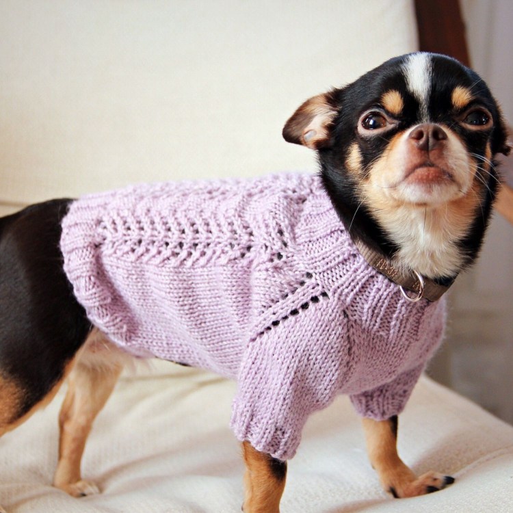 Вещи для собак из старых вещей