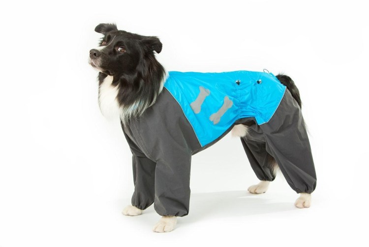 Пошив комбинезона для собаки