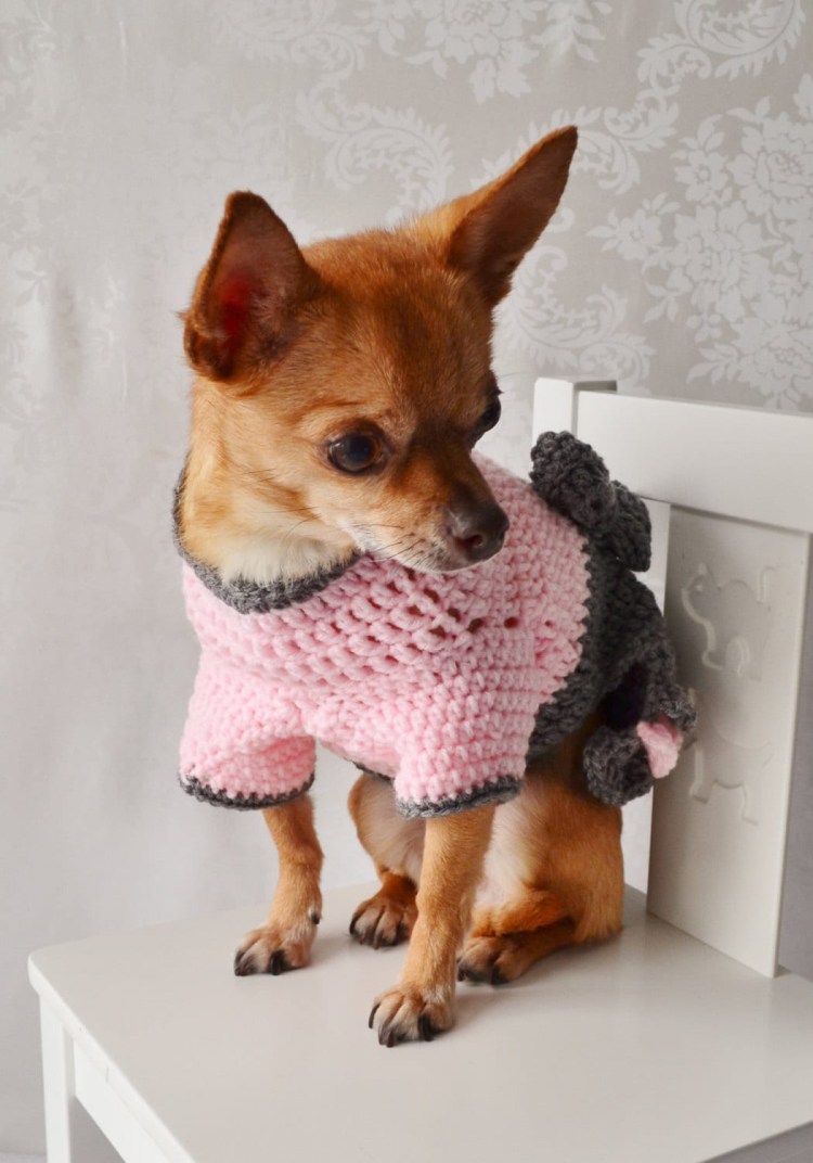 Вещи для собак своими руками