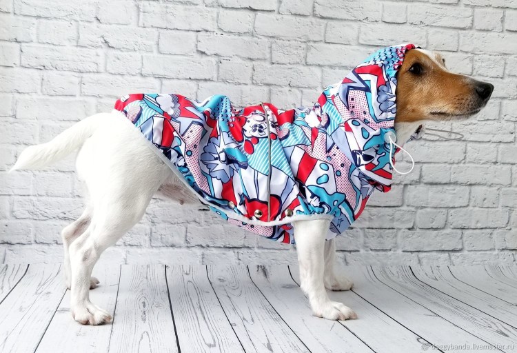 Одежда для животных своими руками