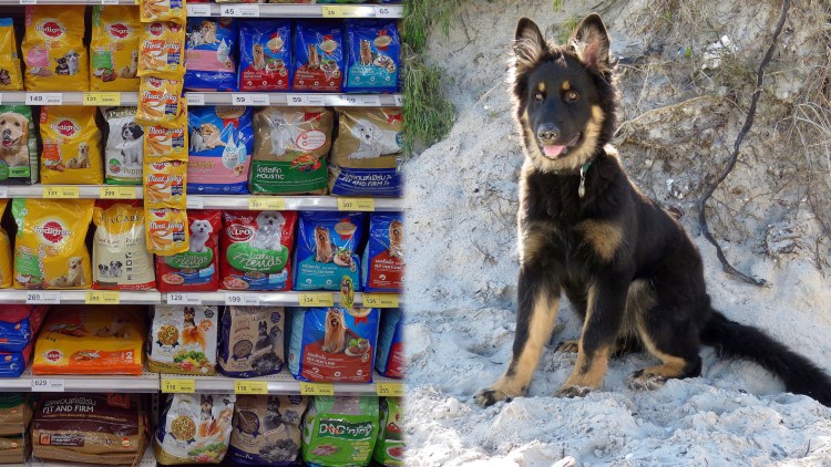 Весь ассортимент корма для собак тести