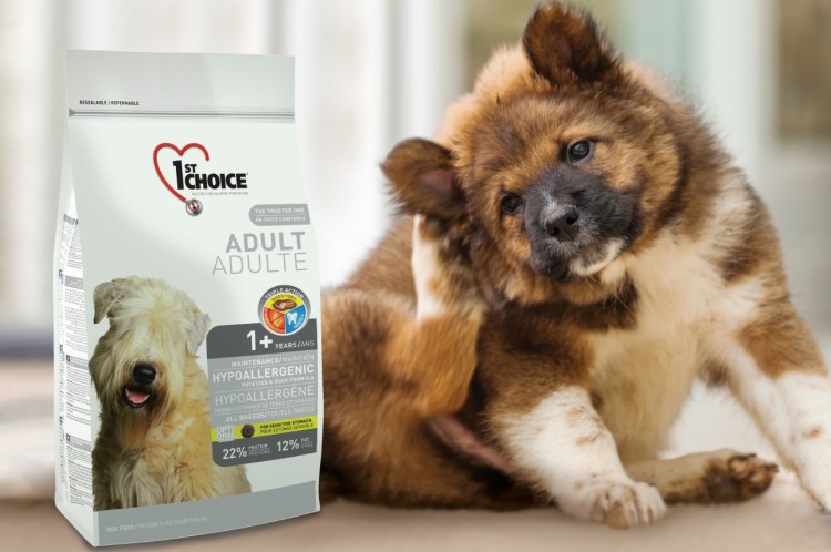 Корма для кошек и собак