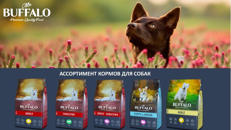 Собачья каша