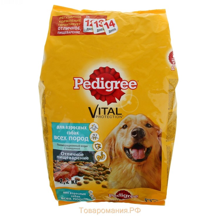 Питомник собак в Липецке