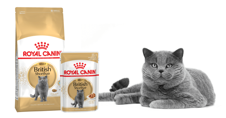 Комплект мини Лайт Вейт Кэа 1 кг + пауч 0,085 кг