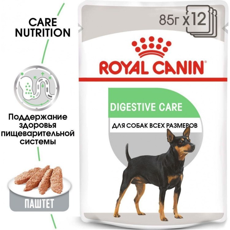 Royal Canin Medium ageing 10+