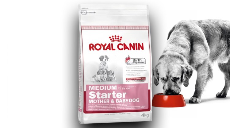 Роял Канин премиум класса для собак мелких пород