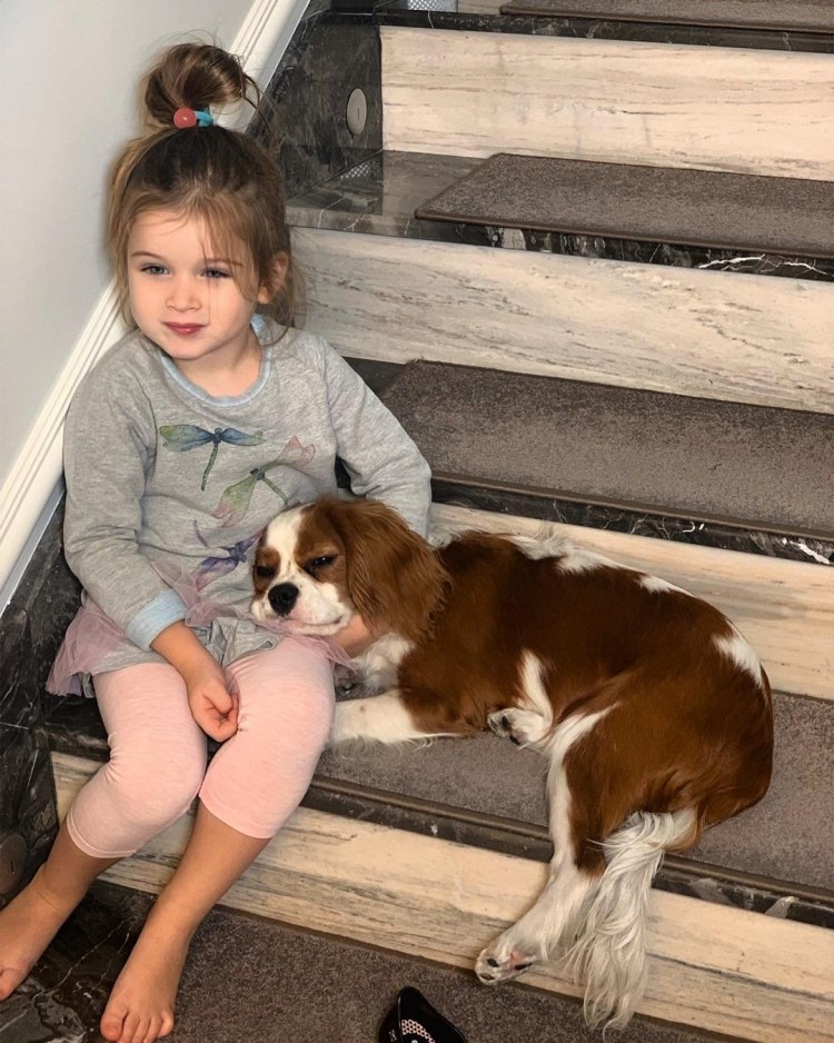 Собака Ксении Бородиной