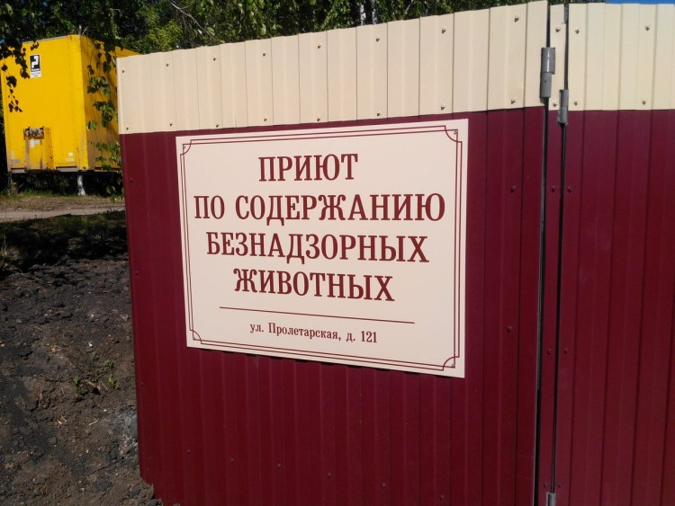 Абхазский приют собак