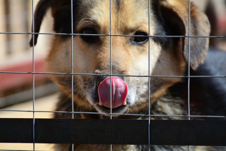 ИК-3 Забайкальский край