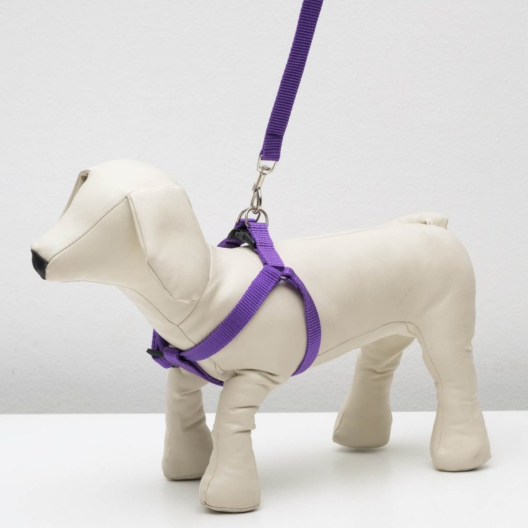 Шлейка Icepeak Pet Prozone super harness 350