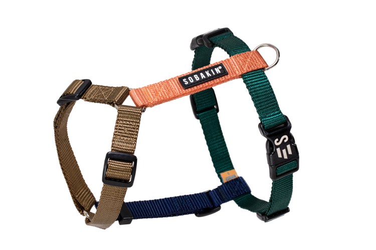 Английский бульдог кабель