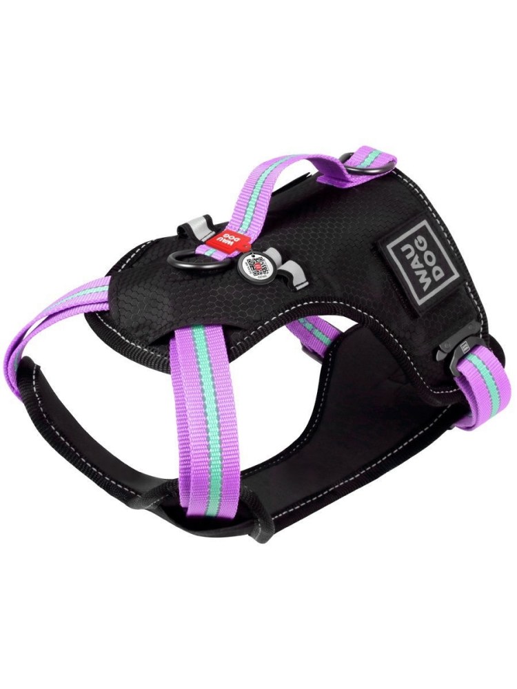 Hoyas бульдог