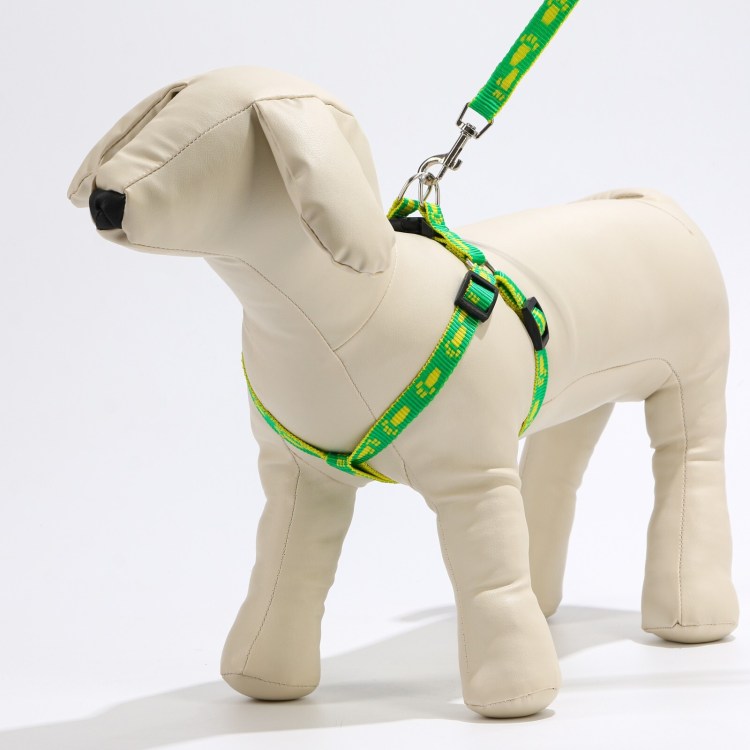 Собака со шлейкой фото Трулав