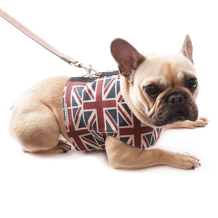 Шлейка ред Динго