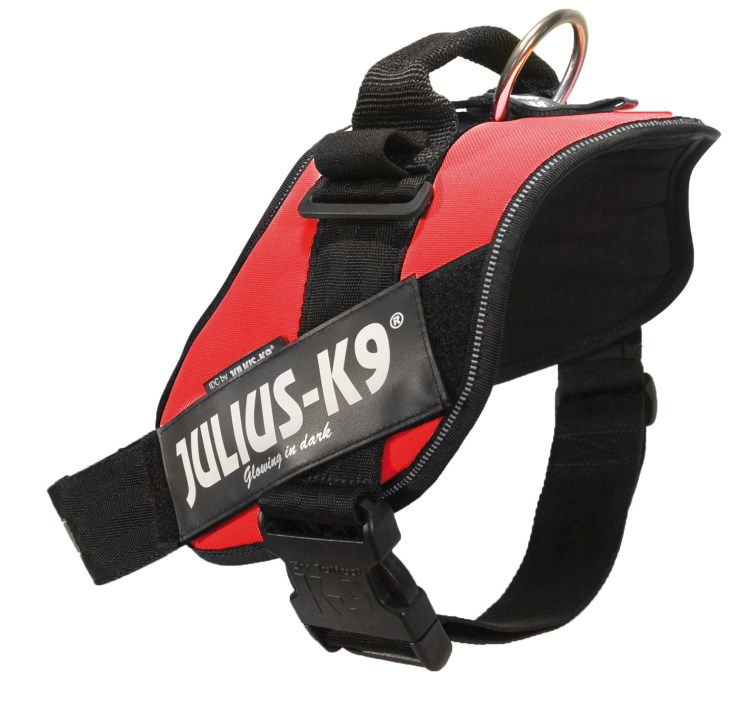 Шлейка Fusion французский бульдог