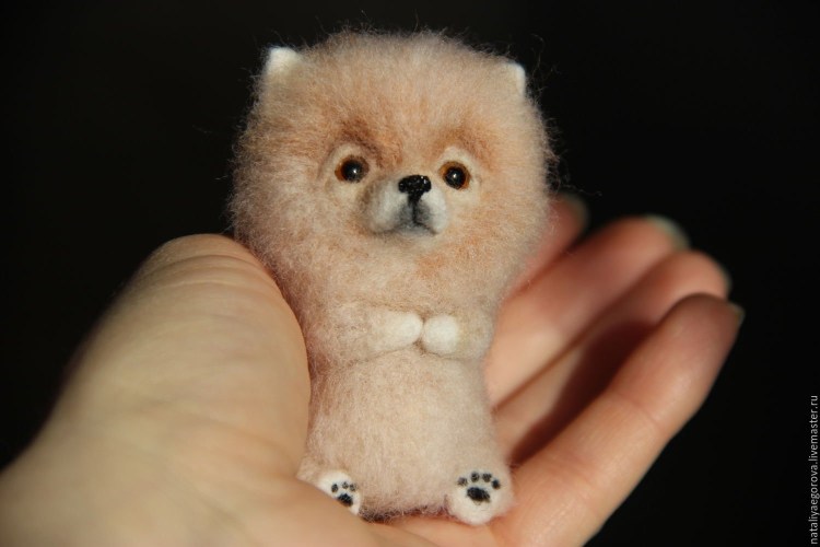 Микро померанский шпиц