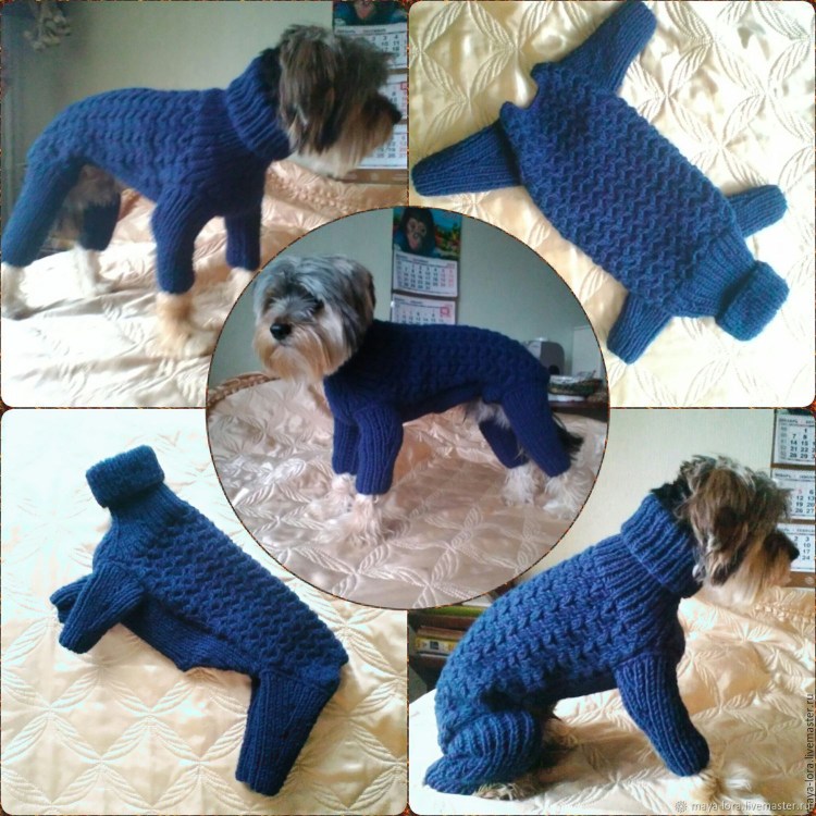 Вязаный костюм для собаки