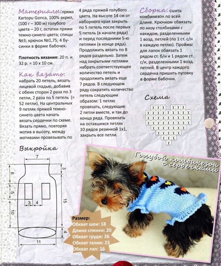 Схемы вязания одежды для собак мелких пород своими руками